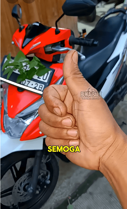 Checking a used motorcycle before buying it easy way